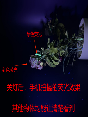 关灯后手机拍摄的荧光效果.png