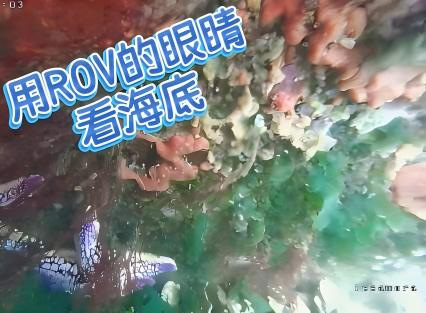 潜入威海近海，方得海洋ROV解锁真实海底图景